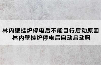 林内壁挂炉停电后不能自行启动原因 林内壁挂炉停电后自动启动吗